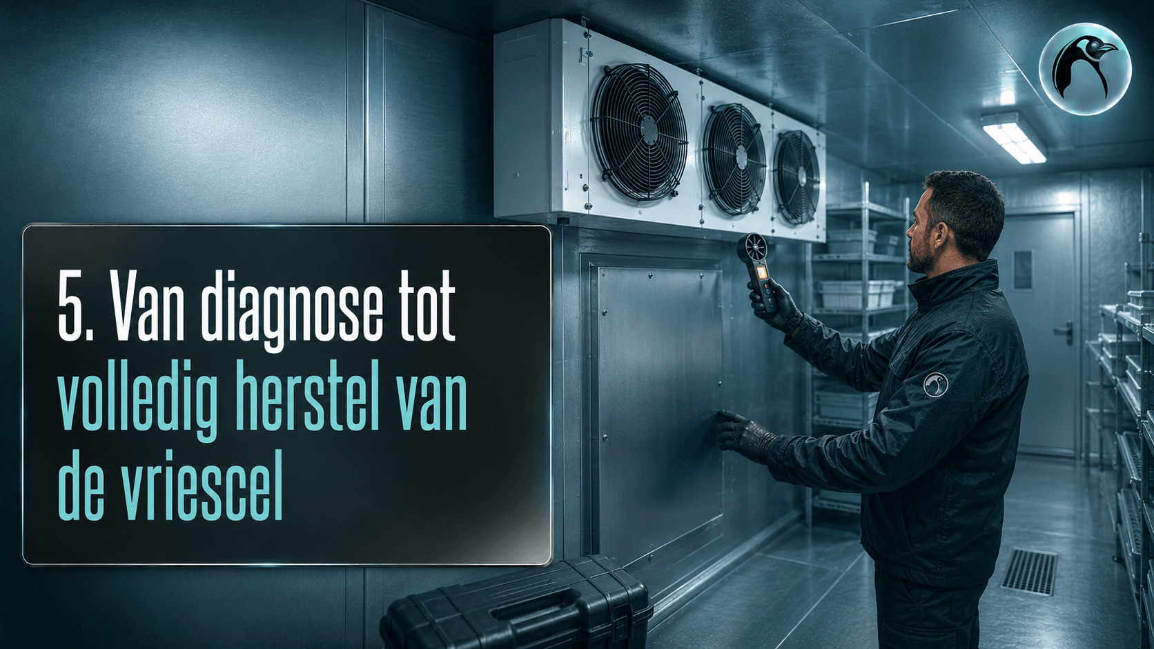 Van diagnose tot volledig herstel van de vriescel