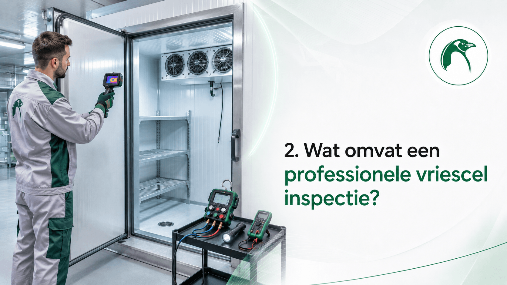 Wat omvat een professionele vriescel inspectie?