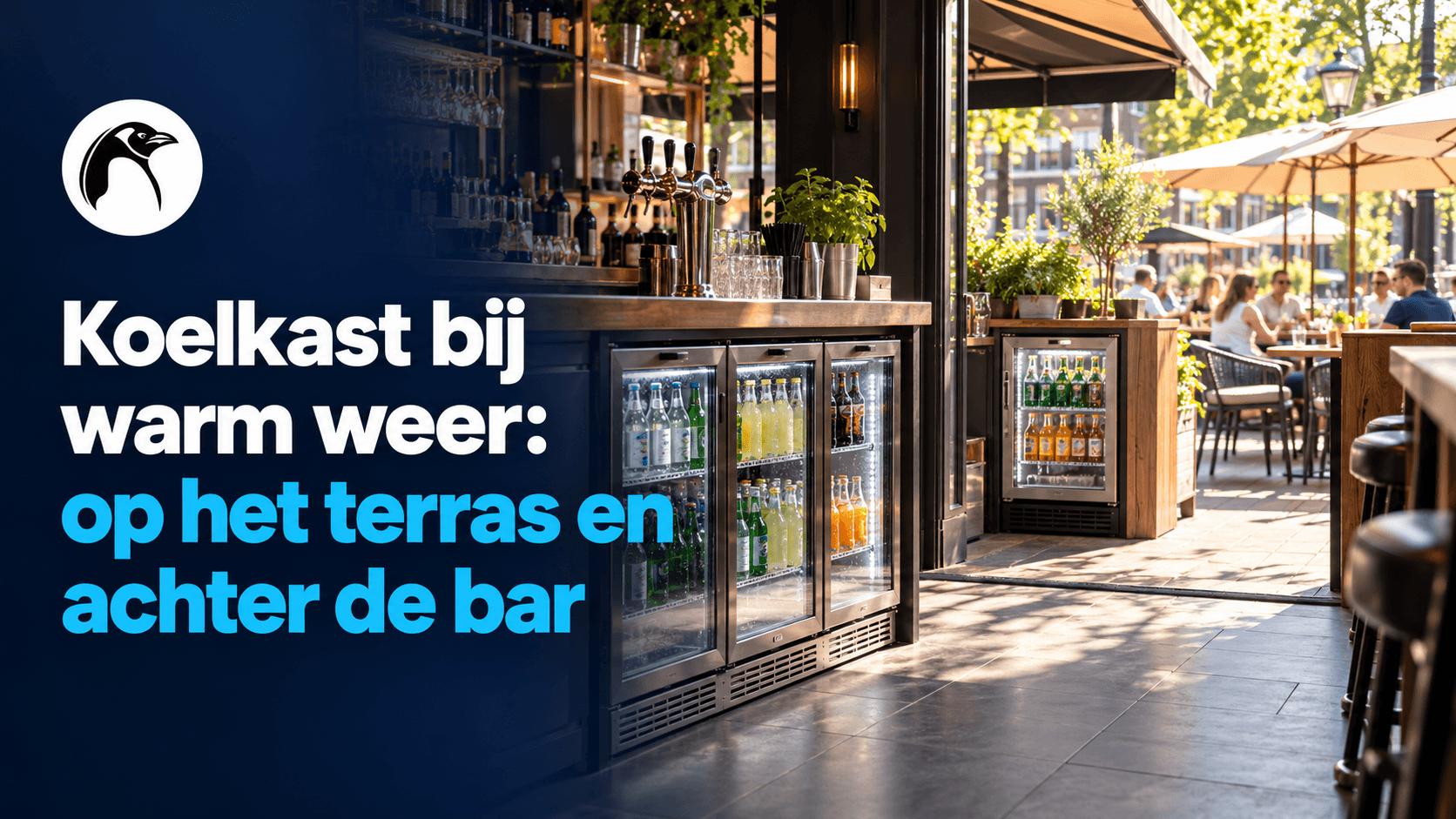 Cool drinks, sunny terrace bar.png
